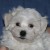Photo de profil de delenn72