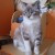Photo de profil de cnatylou68