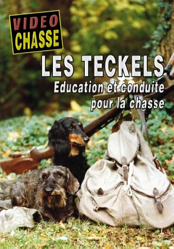 Les teckels