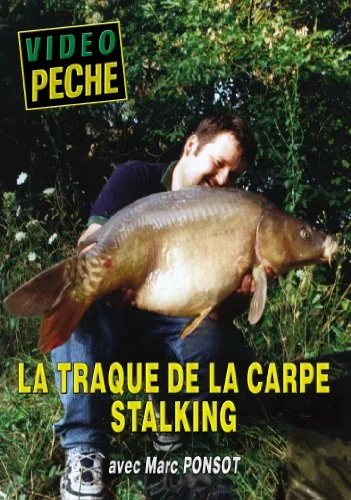 La traque de la carpe stalking