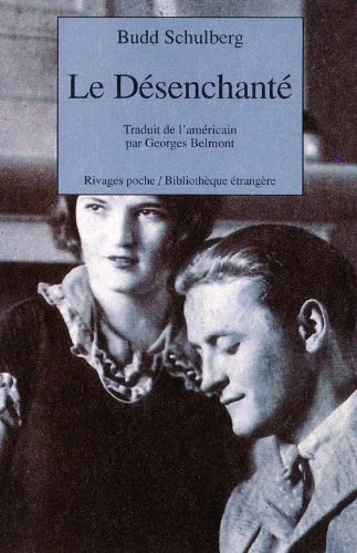 Le Désenchanté