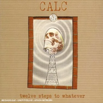 twelve steps to whatever