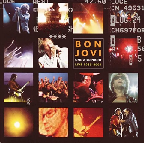 One Wild Night (Live 1985-2001)