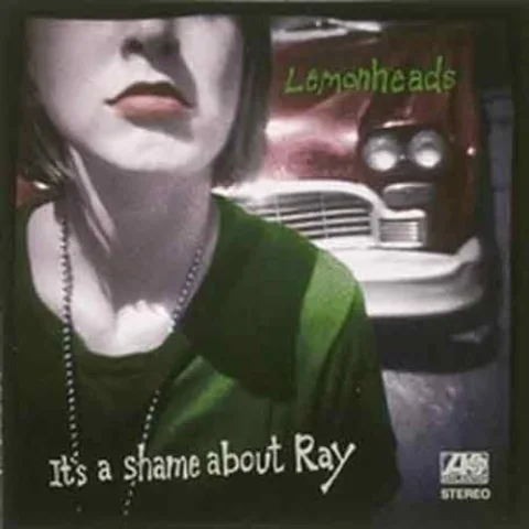 It'S A Shame About Ray