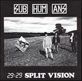 29-29 Split Vision