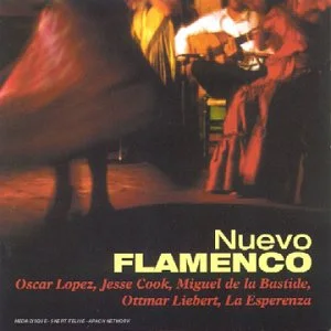 Nuevo Flamenco Vol.1
