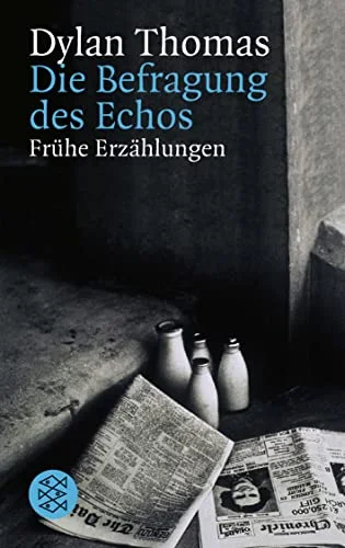 Die Befragung des Echos.