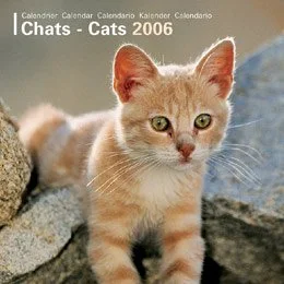 Calendrier Chats 2006
