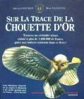 Sur la trace de la chouette d'or
