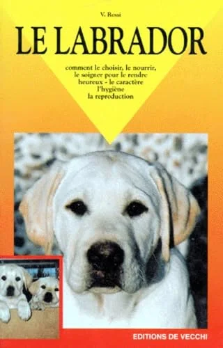 Le labrador