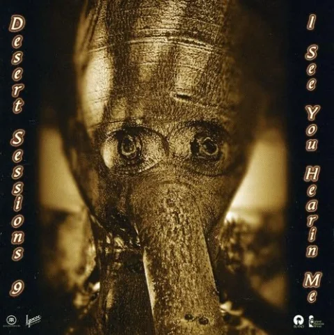 Desert Sessions 9 & 10