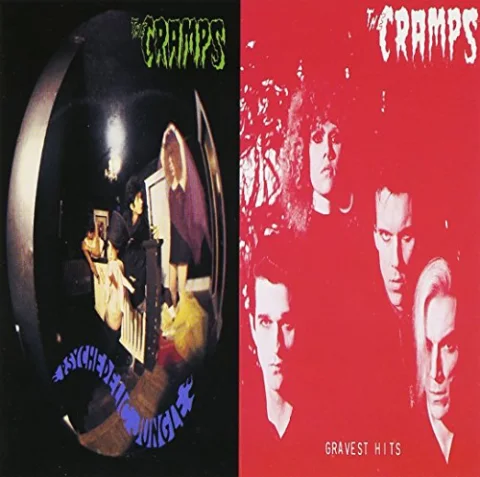 Psychedelic Jungle/gravest Hits