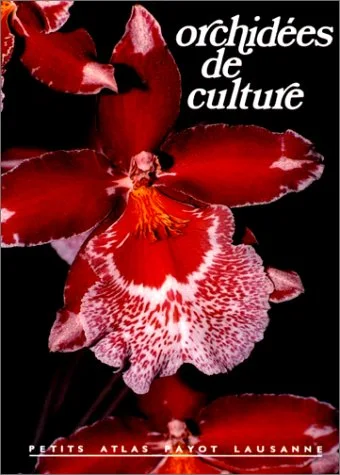 Orchid�es de culture