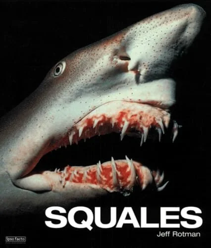 Shark!