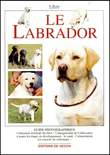 Le labrador