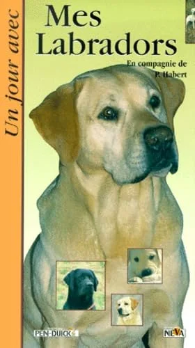 Un jour avec mon labrador