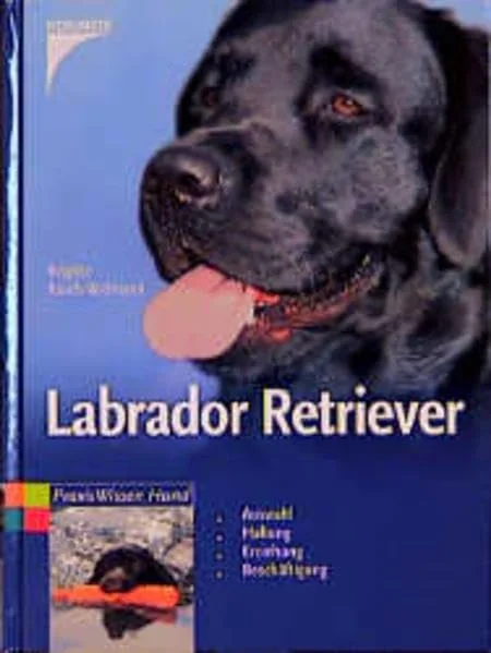 Labrador Retriever.