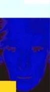 Andy Warhol