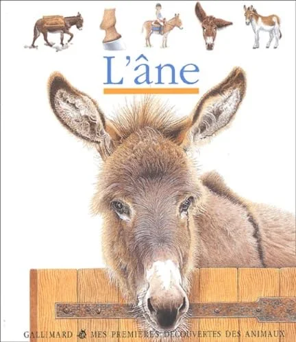 L'Ane