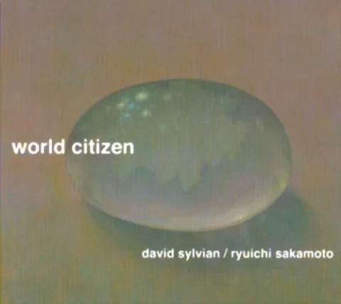 World Citizen