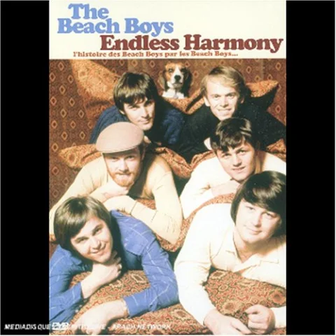 The Beach Boys : Endless Harmony