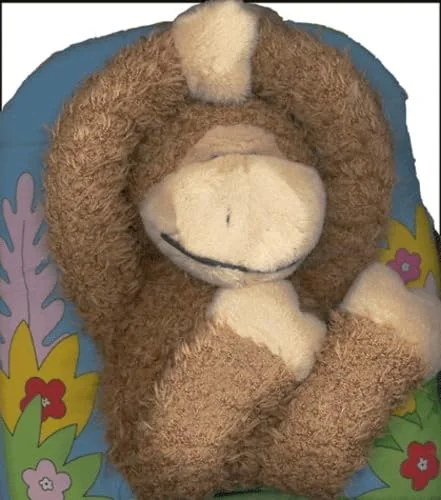 Nono le petit singe