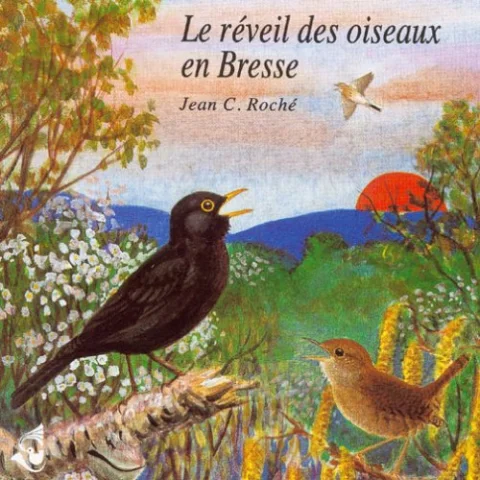 Birds Awakening in Bresse