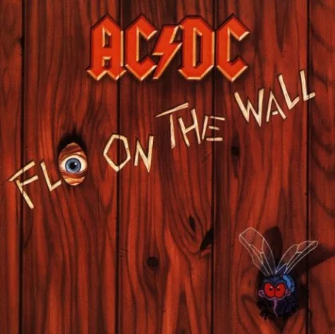 Fly On The Wall