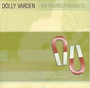 The Dumbest Magnets