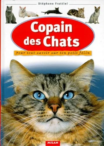 Copain des chats : Pour tout savoir sur ton petit félin
