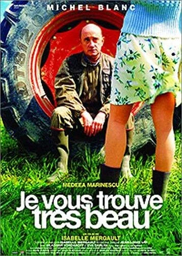 Je vous trouve très beau