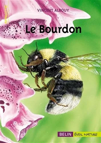 Les bourdons