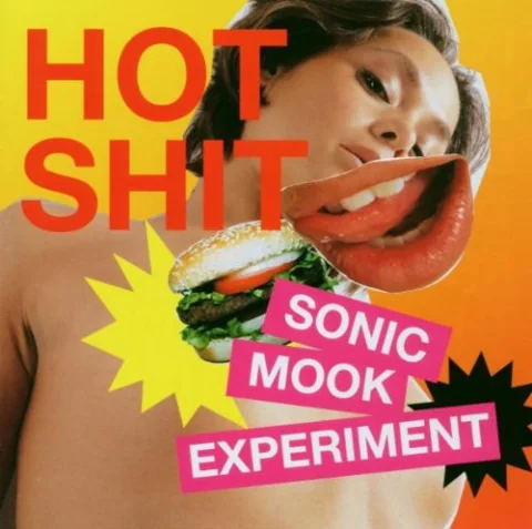 Hot Shit : Sonic Mook Experiment