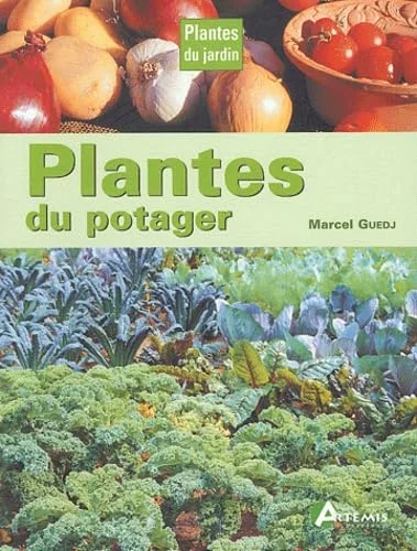Plantes du potager