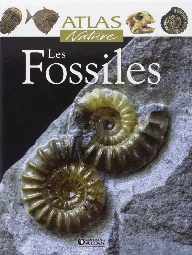 Les Fossiles