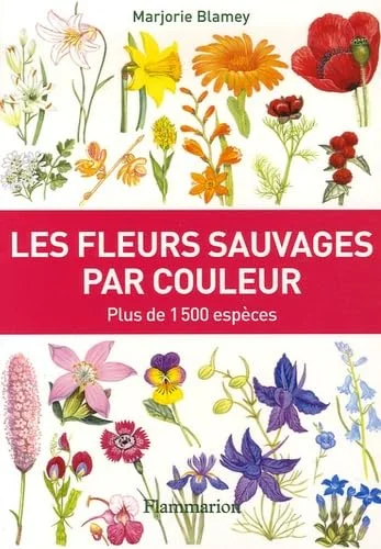 Les fleurs sauvages par couleur