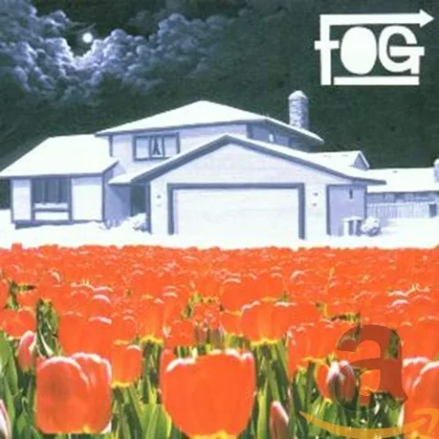 Fog