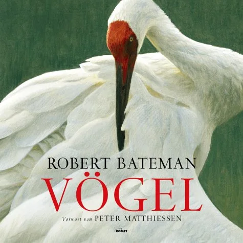 V�gel.
