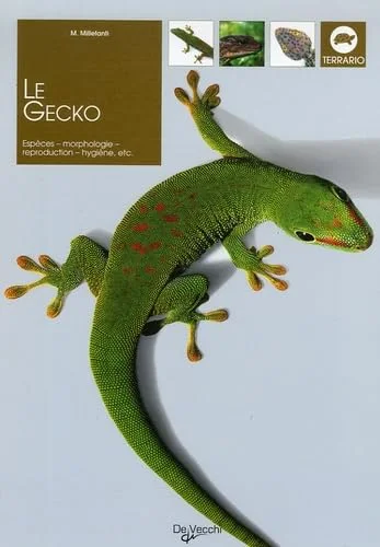 Le Gecko