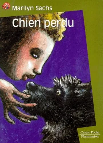 Chien perdu