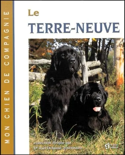 Terre Neuve