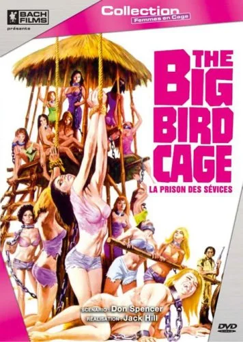 The big bird cage