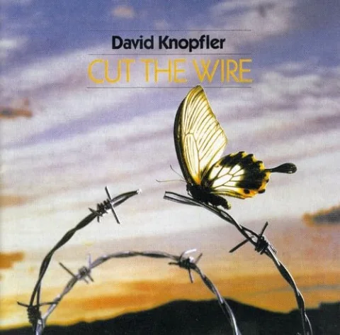 Cut the Wire