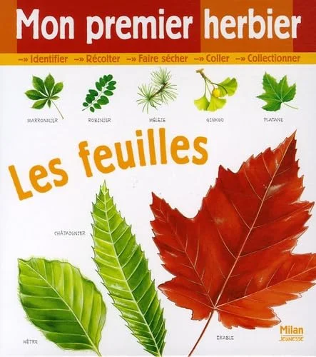 Mon premier herbier : Les feuilles