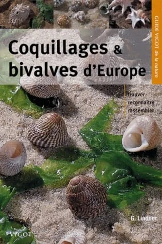 Des coquillages