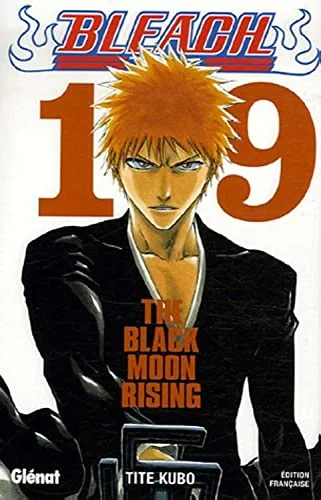 Bleach, Tome 19 :