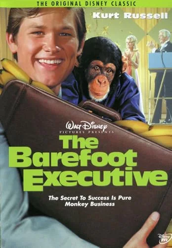 Barefoot Executive