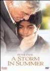 Storm in Summer