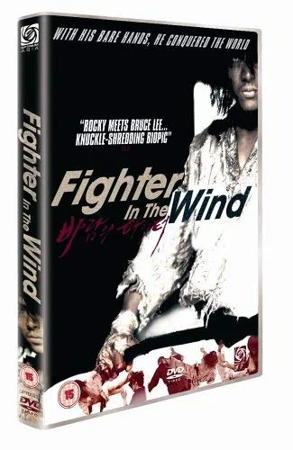 Fighter In The Wind