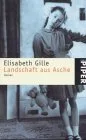 Landschaft aus Asche